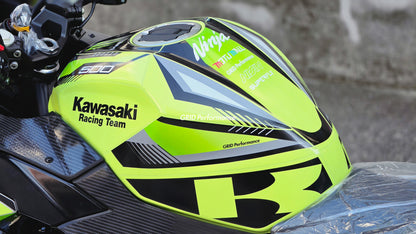Kawasaki NINJA 500 Full Graphic Vinyl Decal Kit (1-3.MONSTER)